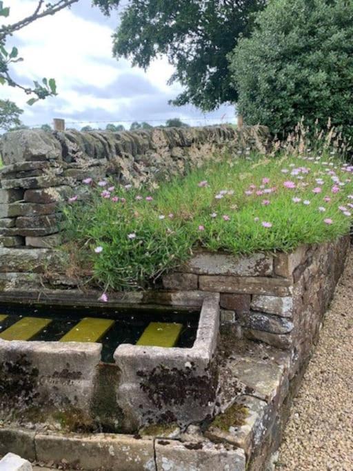 Ivy House Farm, Near Longnor Villa Longnor  Exterior photo